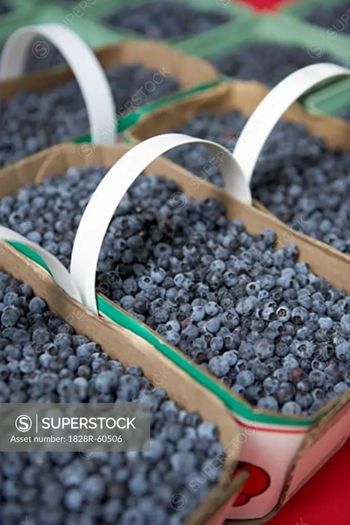 Wild Blueberries at Dufferin Grove Organic Farmers Market, Toronto, Ontario, Canada   
