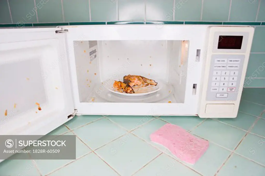 Splattered Salmon Steak on Inside of Microwave   