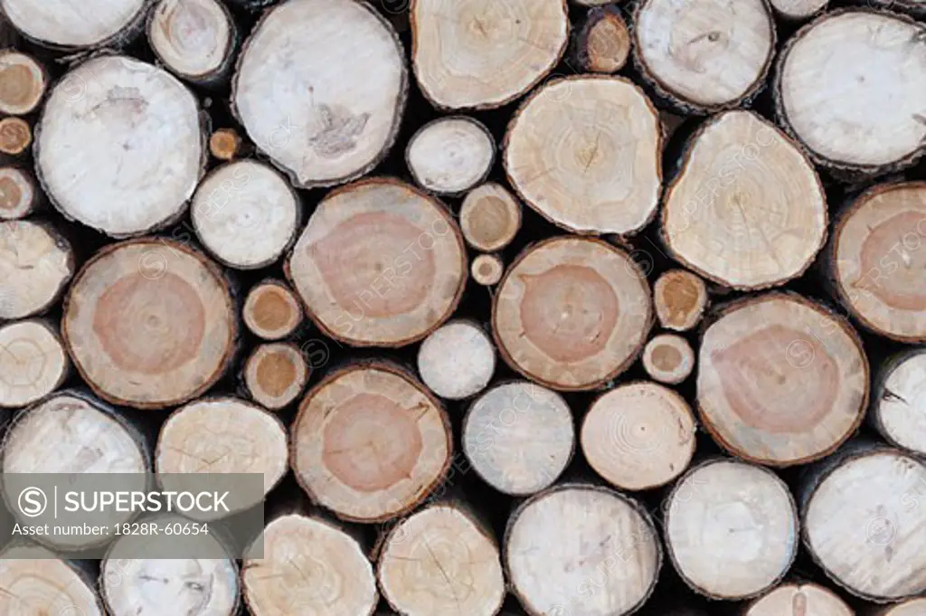 Stack of Firewood   