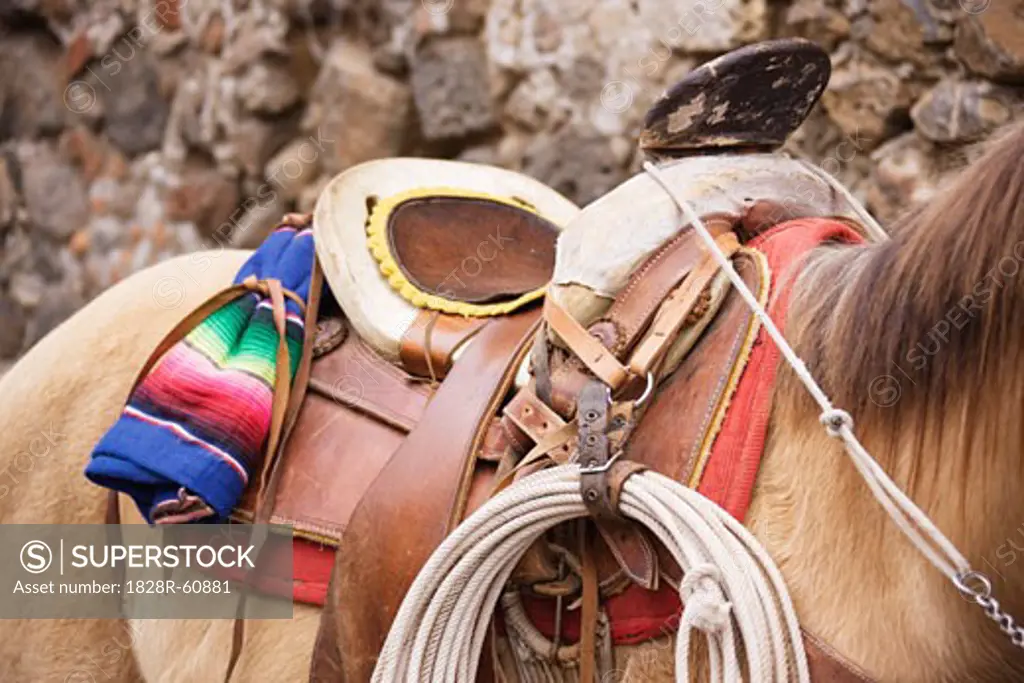 Close-Up of Saddle on Horse, Tepoztlan, Morelos, Mexico   