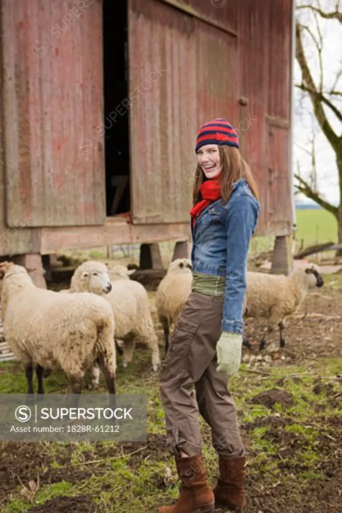 Teenage Girl With a Flock of Sheep on a Farm in Hillsboro, Oregon, USA   