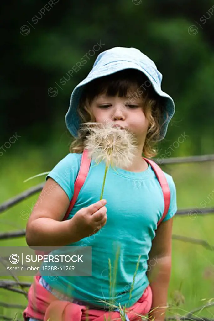 Little Girl Blowing on Fluffy Flower, Wind Cave National Park, South Dakota, USA   
