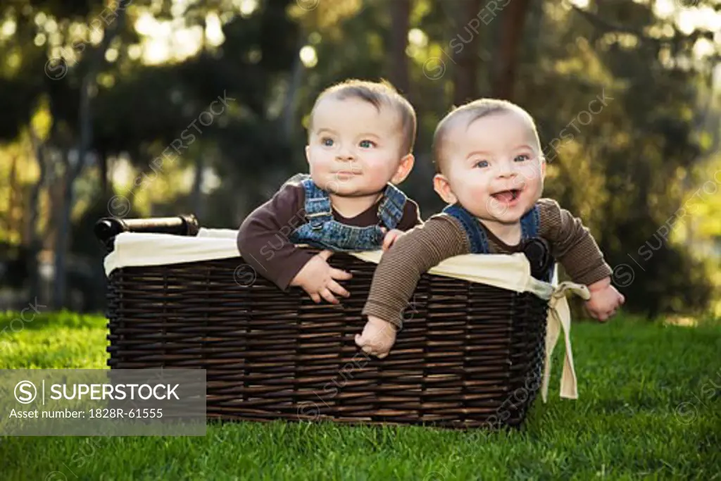 Twin Boys in Basket   