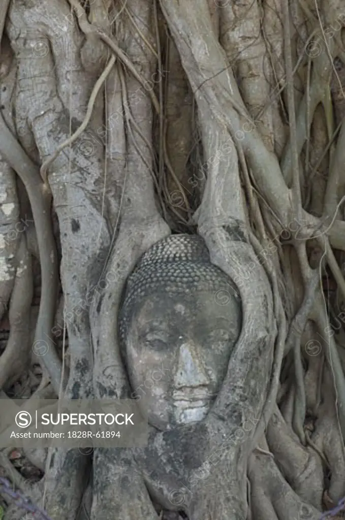 Carving, Ayutthaya, Thailand   