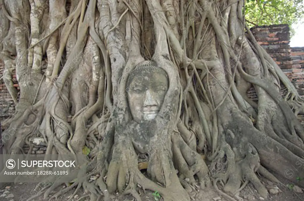 Carving, Ayutthaya, Thailand