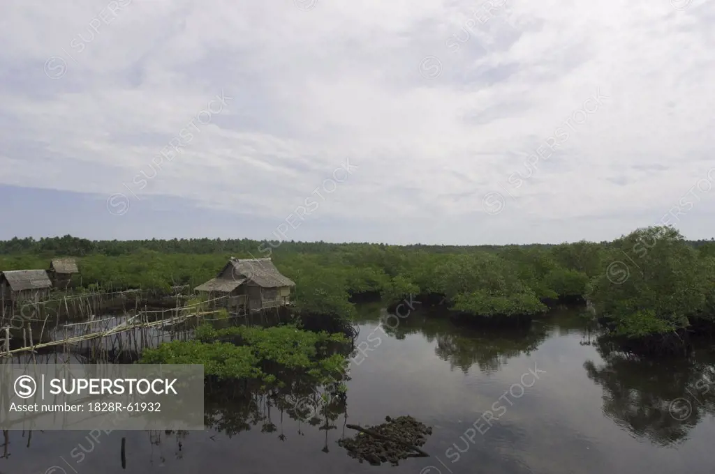 Siargao Island, Surigao del Norte, Mindanao, Philippines   