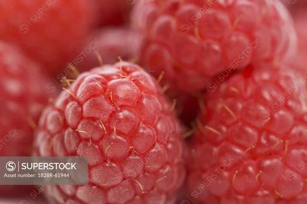 Closeup of Raspberries   