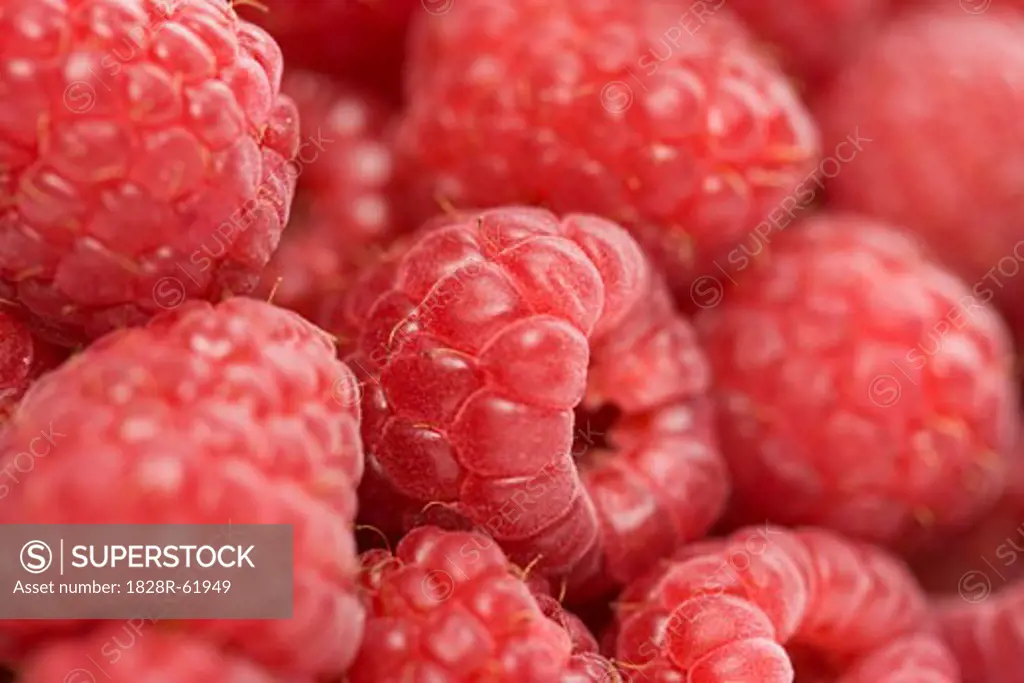 Closeup of Raspberries   