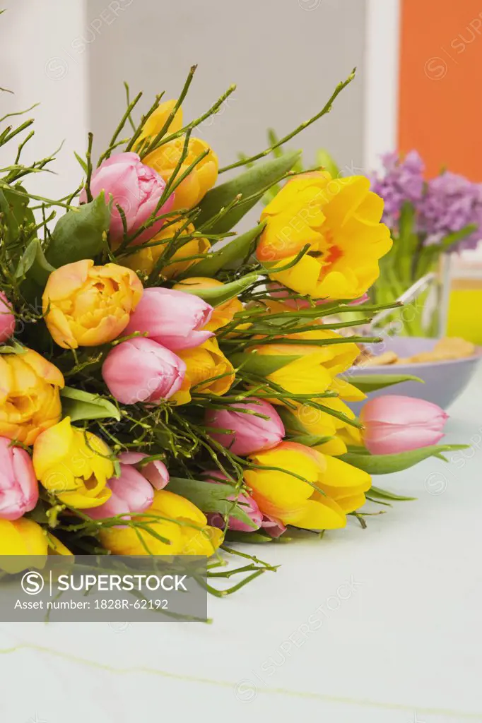 Bouquet of Spring Flowers   