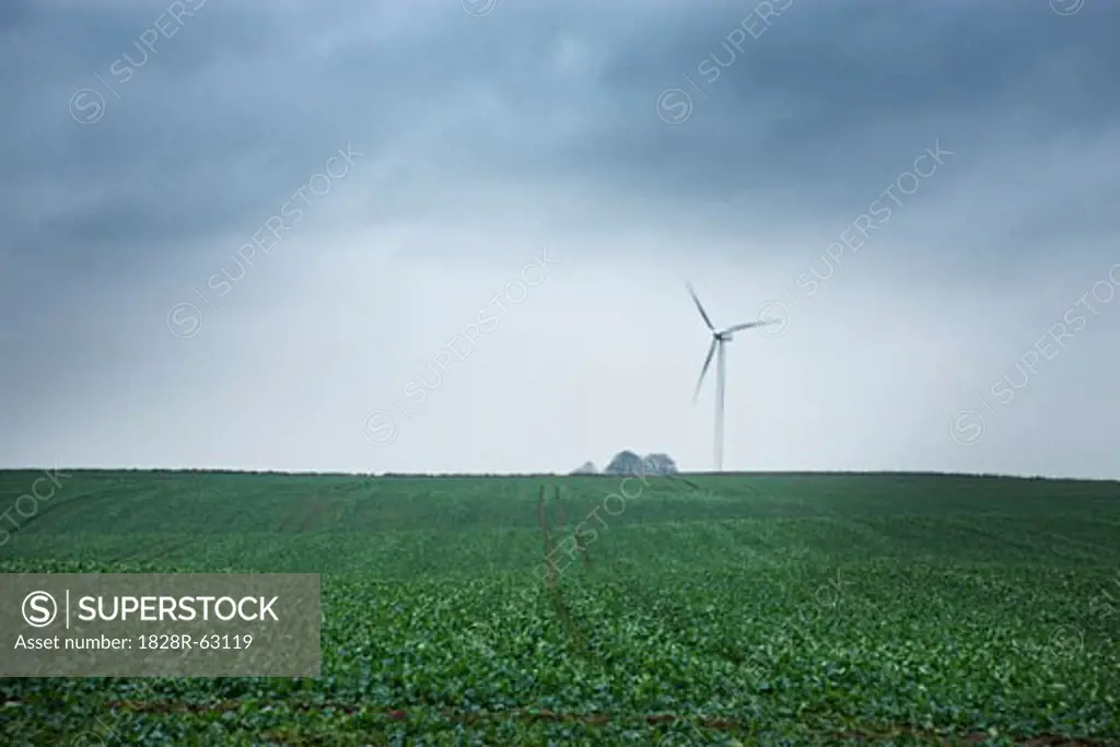Wind Turbine on a Farm, Forlev, Region Midtjylland, Jutland Peninsula, Denmark
