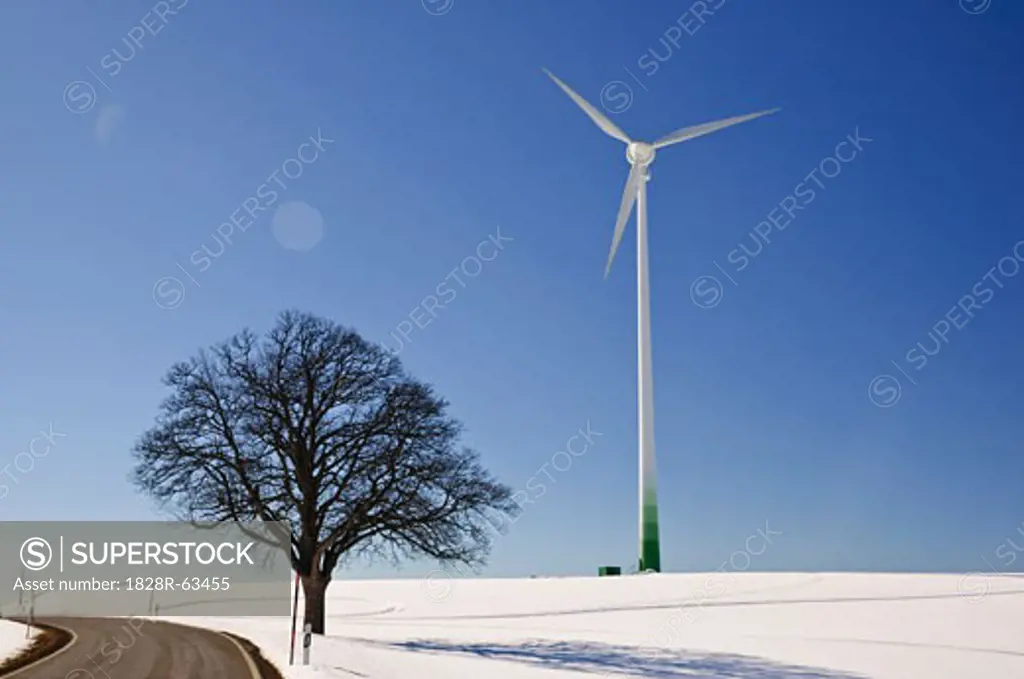 Wind Turbine and Oak Tree by Road, Black Forest, Baden-Wurttemberg, Germany