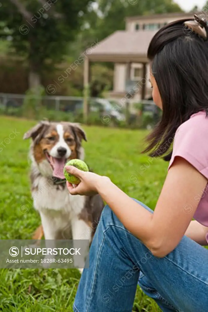 Woman Playing Catch With Dog