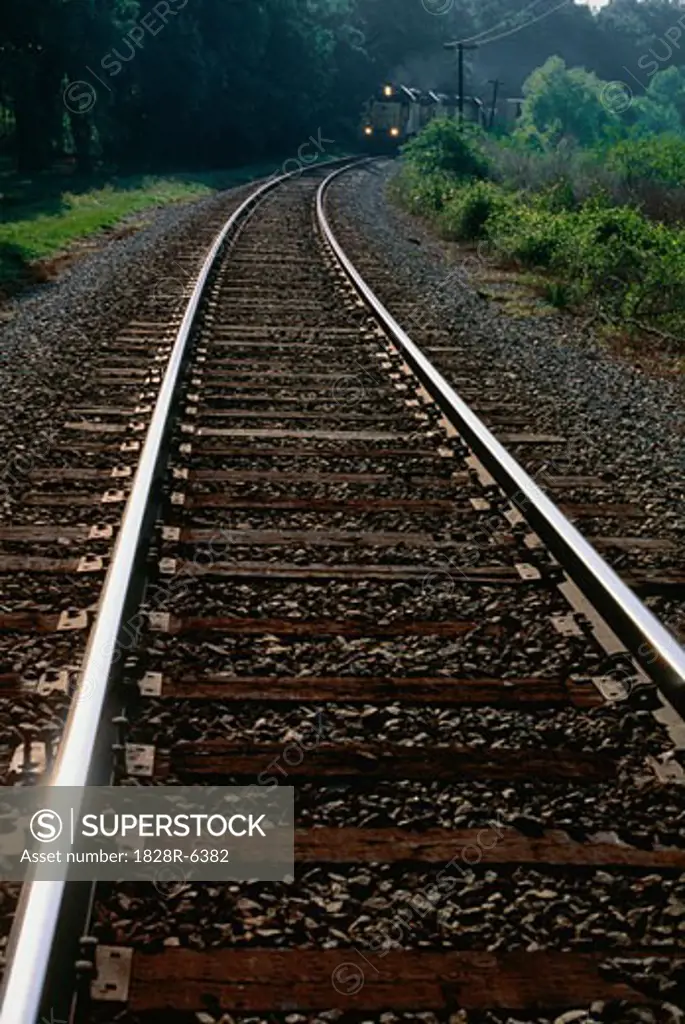 Train Tracks, Tallahassee, Florida, USA   