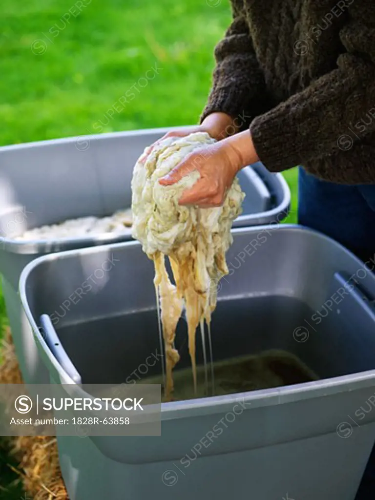 Woman Washing Raw Wool
