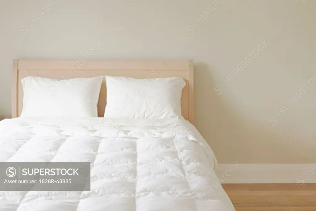 Modern Queen Sized Bed With White Bedding in Sunlit Room