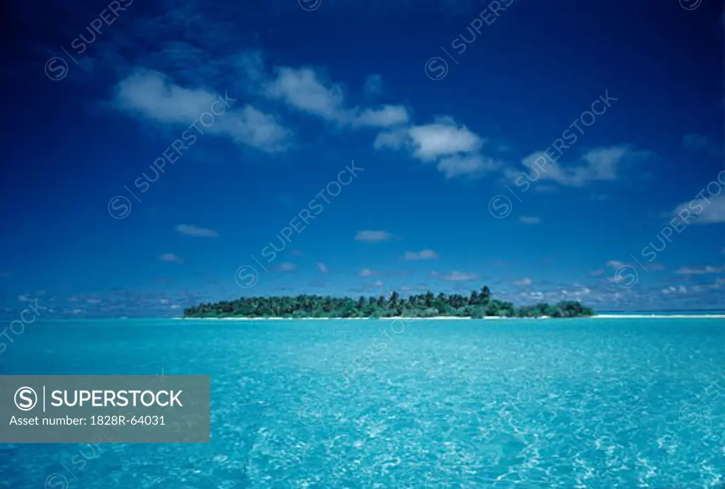 Tropical Seascape, Island with Coconut Palm Trees