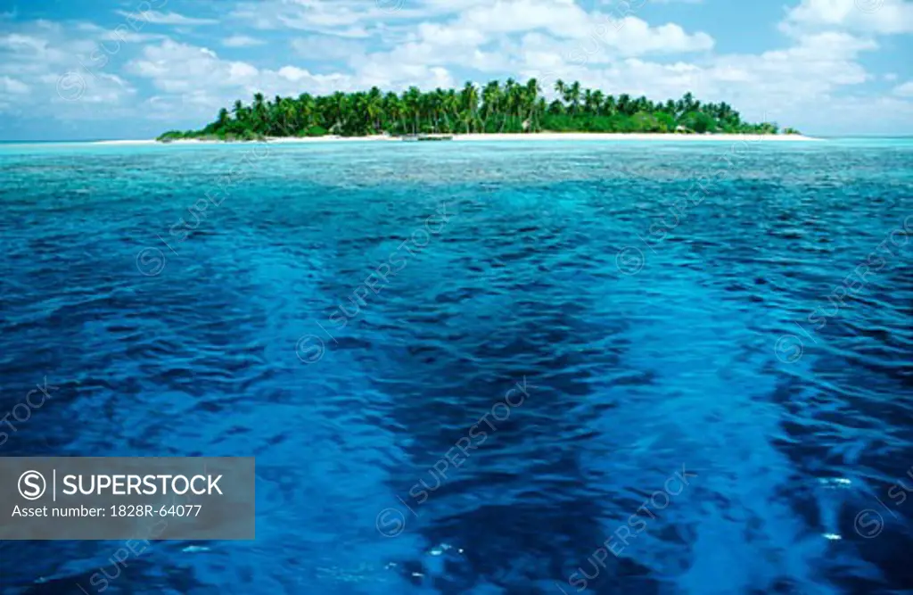 Tropical Island, Ocean, Coconut Palm Trees, Maldives