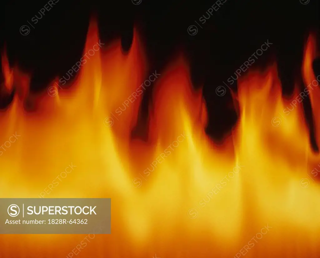 Close-up of Fire