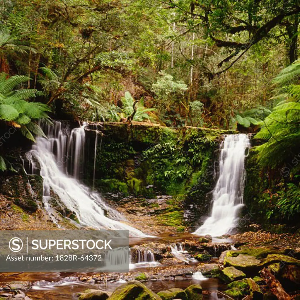 Horseshoe Falls, Mount Field National Park, Tasmania, Australia