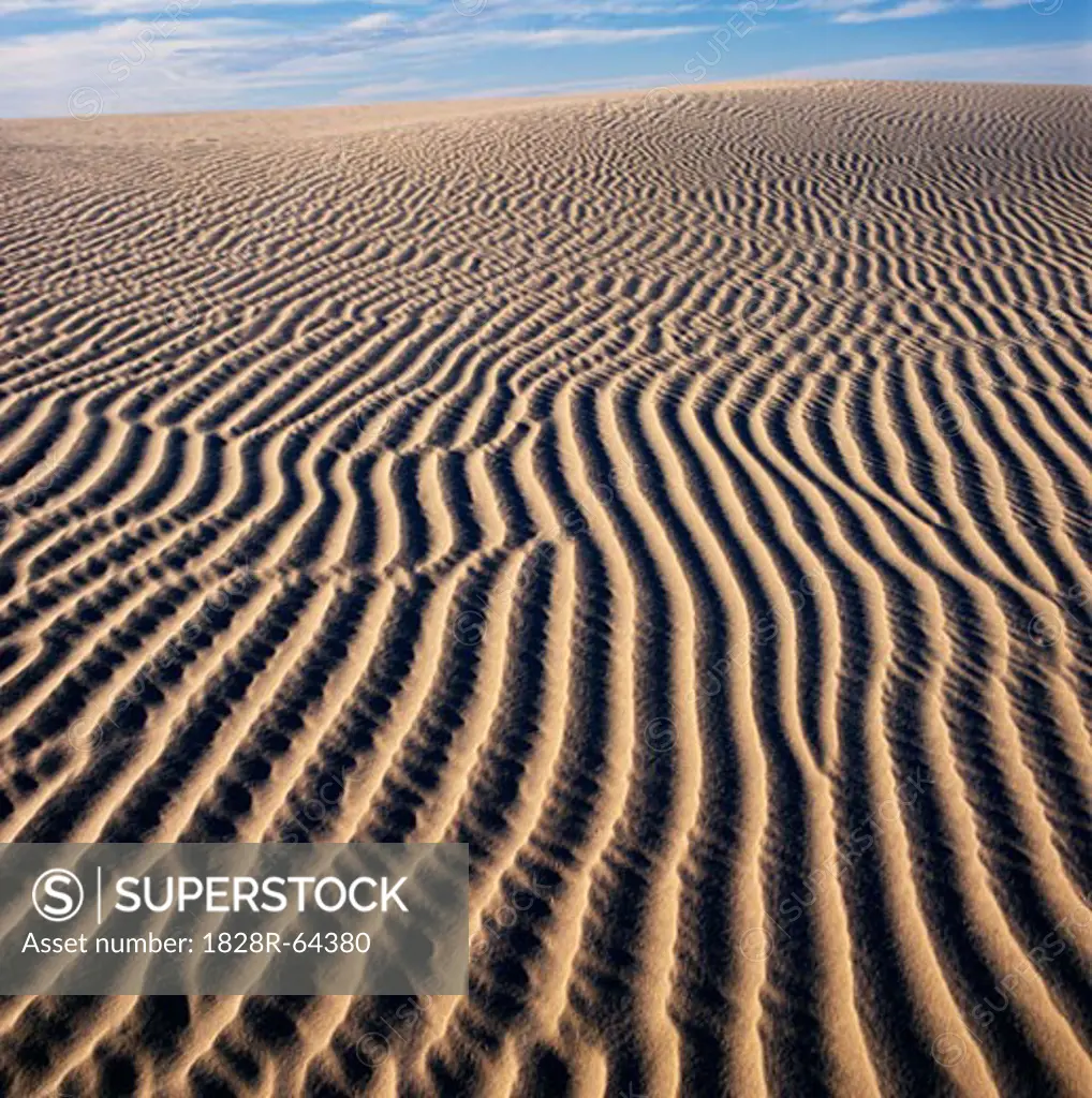 Sand Dunes, Lake Mungo, Australia