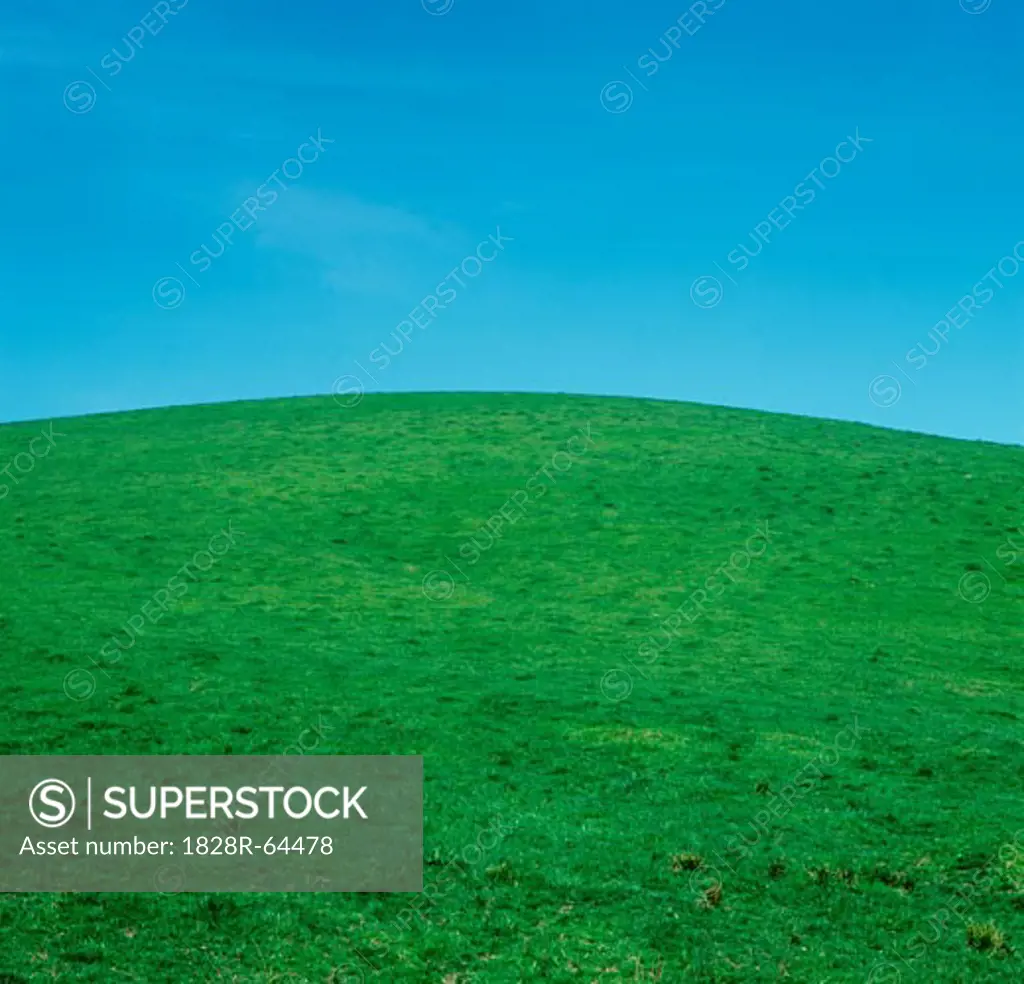 Green Grass and Blue Sky, Gippsland, Victoria, Australia