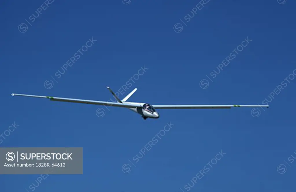 Glider in Flight