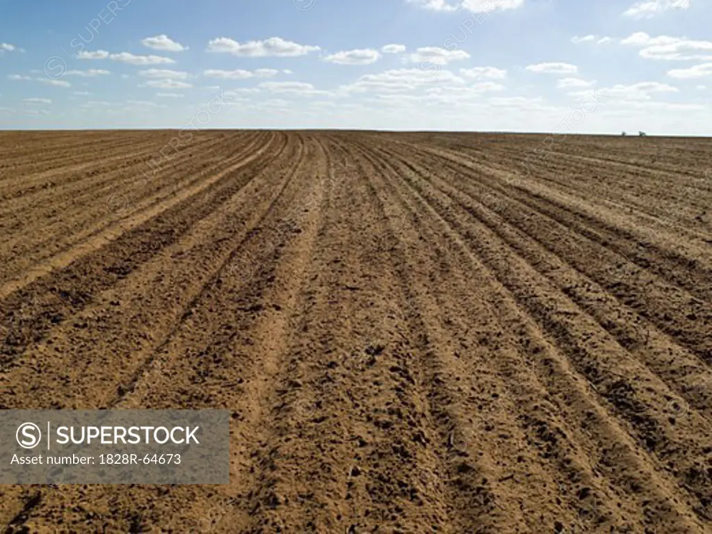 Ploughed Field Ready for Wheat Sowing, Australia