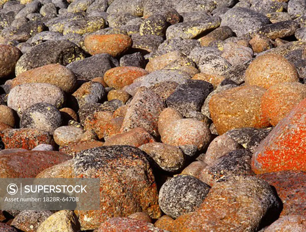 Close-up of Lichen-covered Granite Stones, Near Bicheno, Tasmania