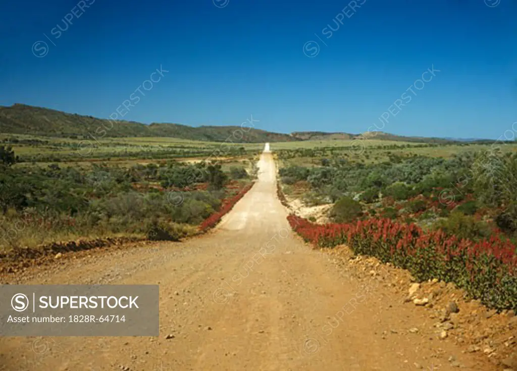 Gravel Road, Gammon Ranges, Flinders Ranges National Park, South Australia, Australia