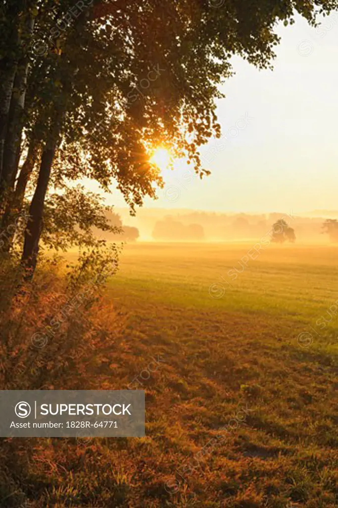 Sunrise Over Field in Autumn, Odenwald, Hesse, Germany
