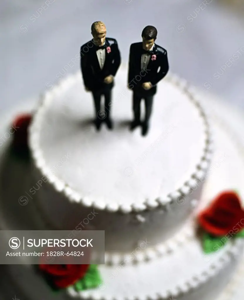 Two Grooms Wedding Cake Topper