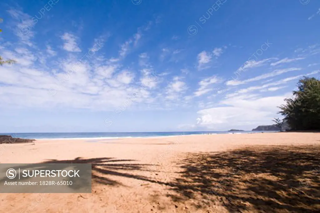 Beach, Kauai, Hawaii, USA