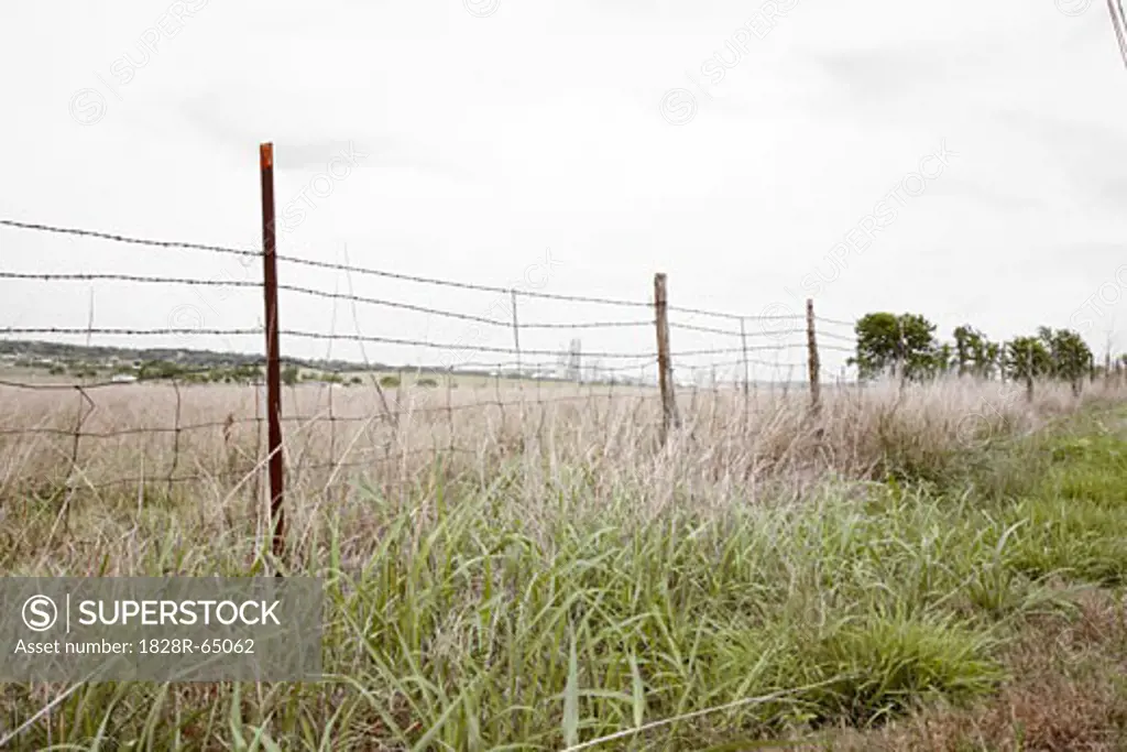 Fence in Grassy Field