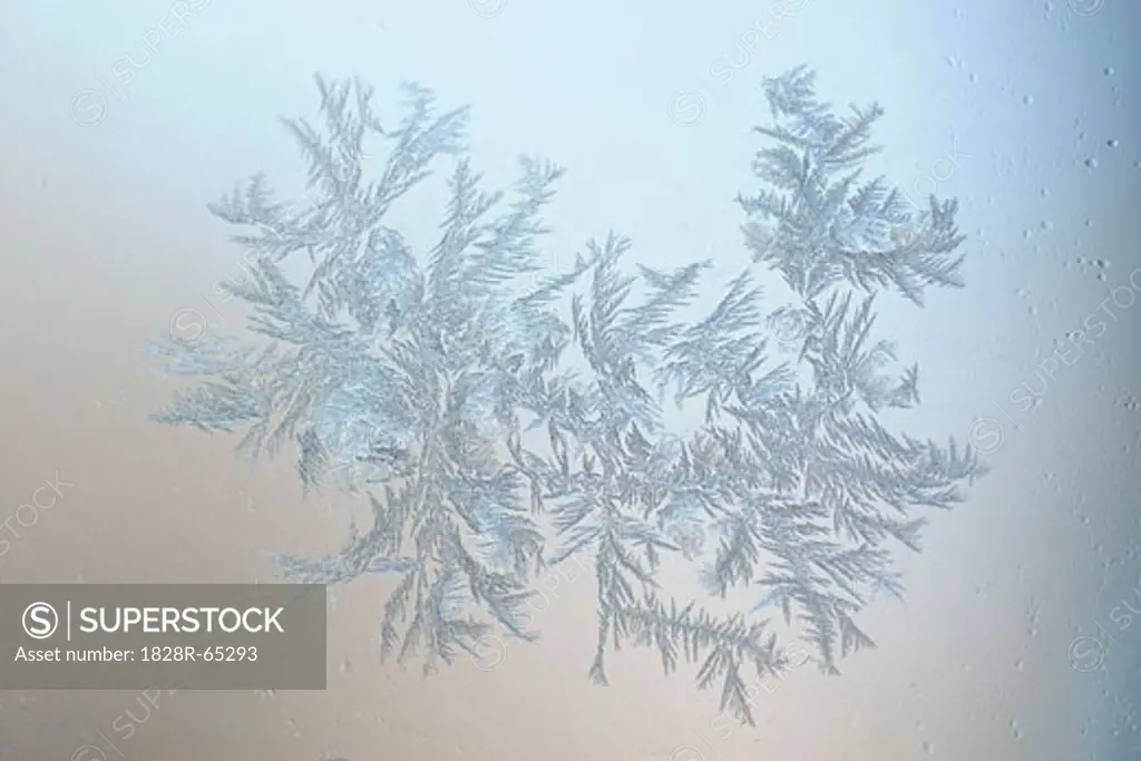 Close-up of Frost