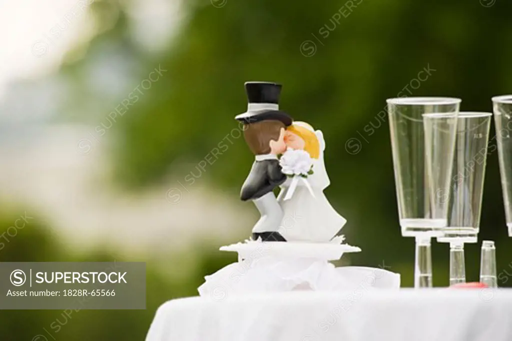 Wedding Cake Topper and Champagne Glasses