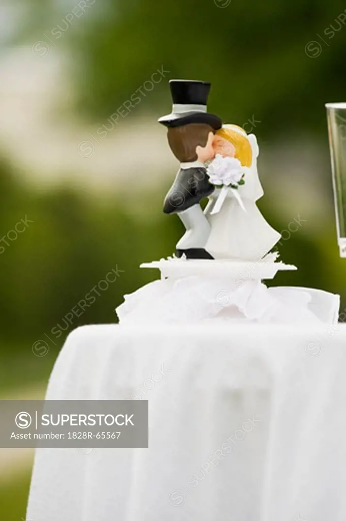 Wedding Cake Topper on Table