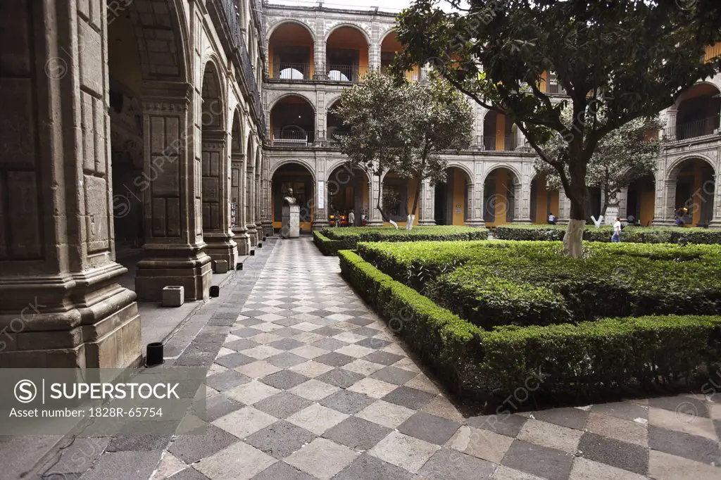 Museum Courtyard, Mexico City, Mexico
