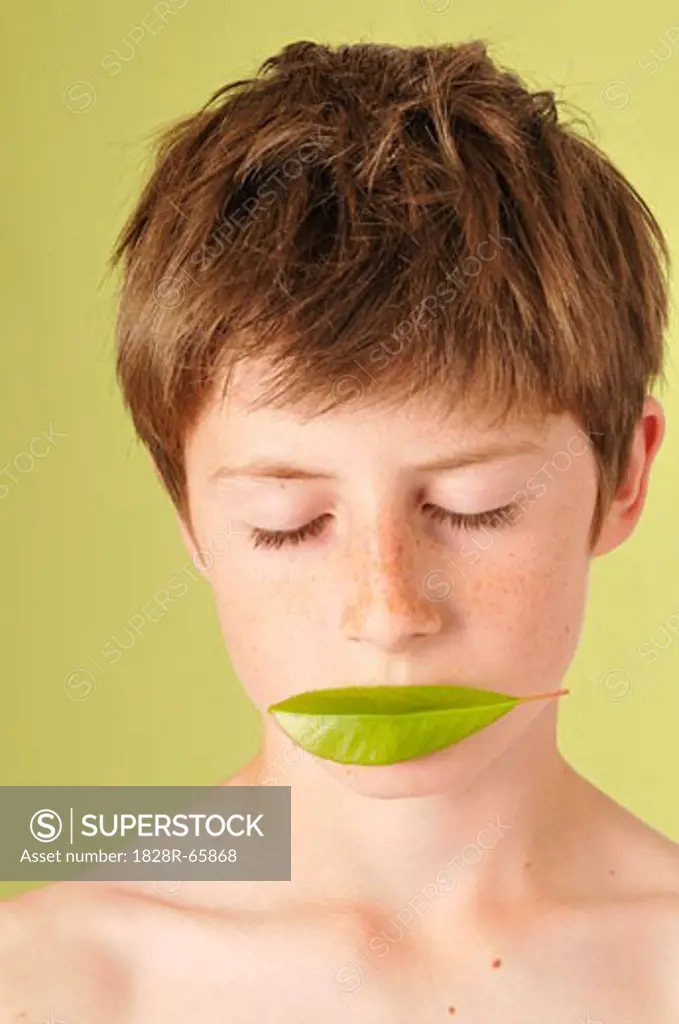 Little Boy With Leaf Covering His Mouth