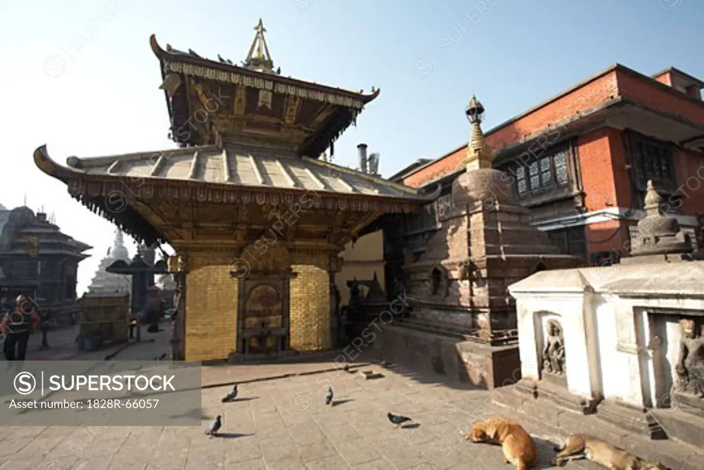 Monkey Temple, Kathmandu, Nepal