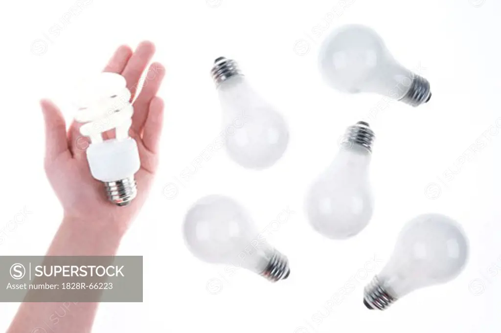 Person Holding Compact Fluorescent Lightbulb near Incandescent Lightbulbs
