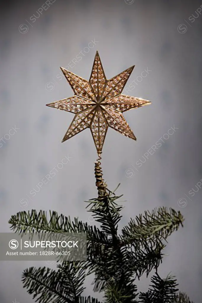Star Ornament                                                                                                                                                                                           