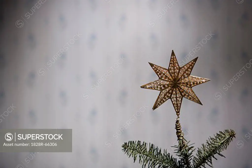 Star Ornament                                                                                                                                                                                           