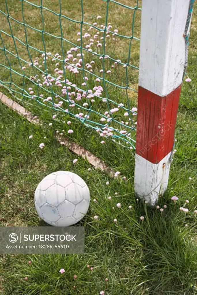 Soccer Ball by Net, Hulsig, Skagen, Nordjylland, Jutland, Denmark
