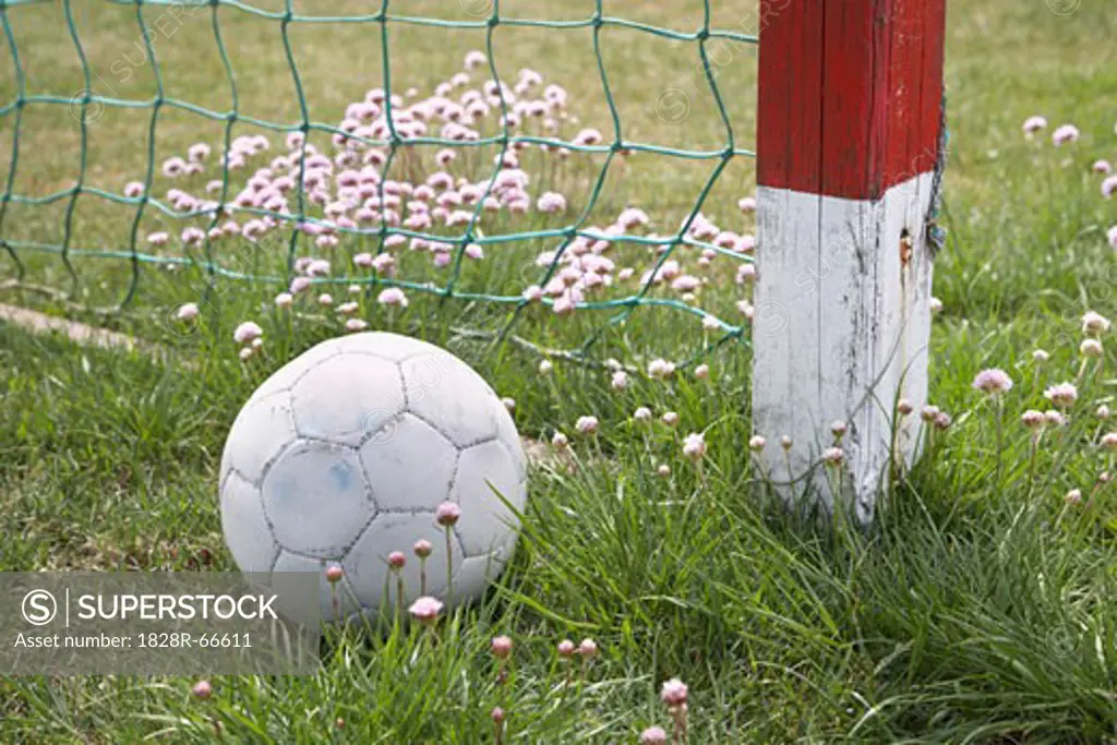 Soccer Ball by Net, Hulsig, Skagen, Nordjylland, Jutland, Denmark