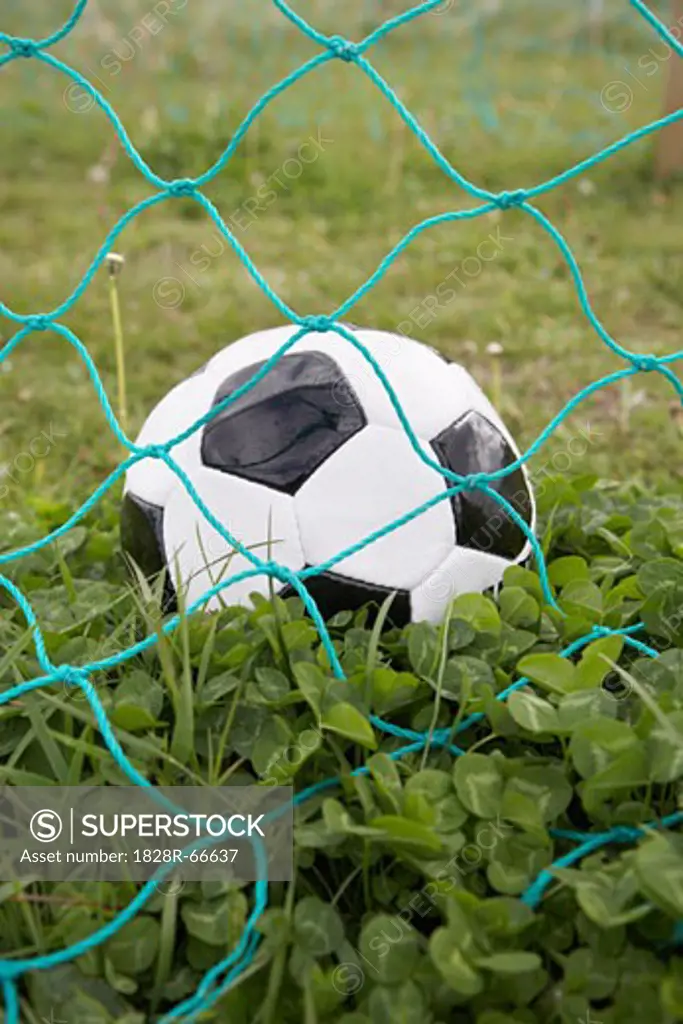 Soccer Ball and Net