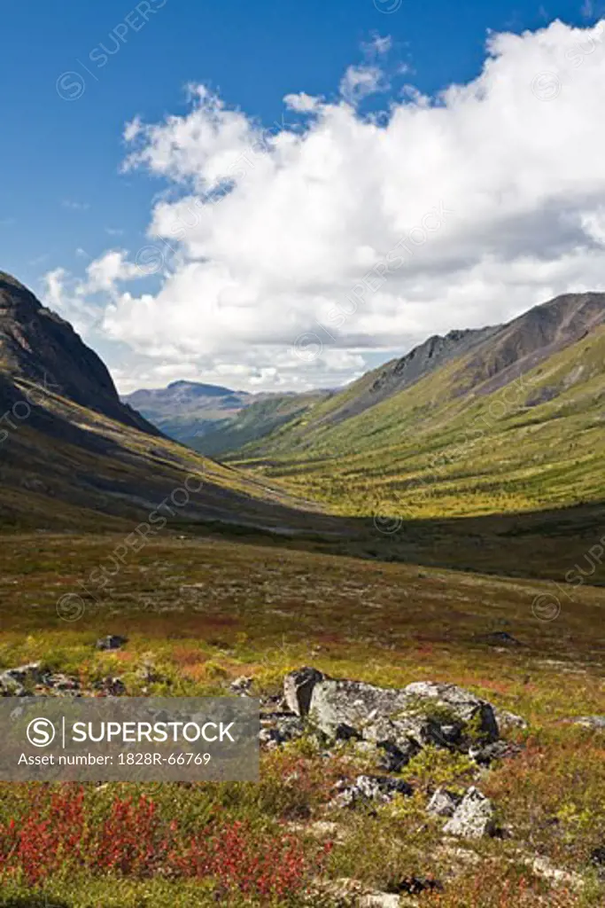 Tombstone River Valley, Tombstone Territorial Park, Yukon, Canada