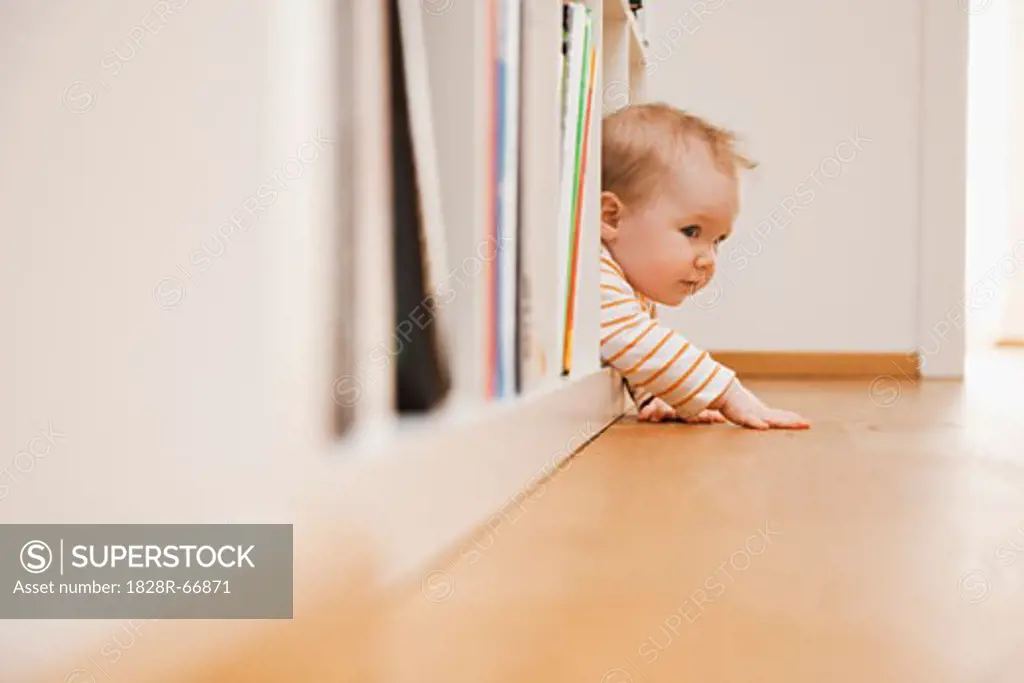 Baby in Bookshelf