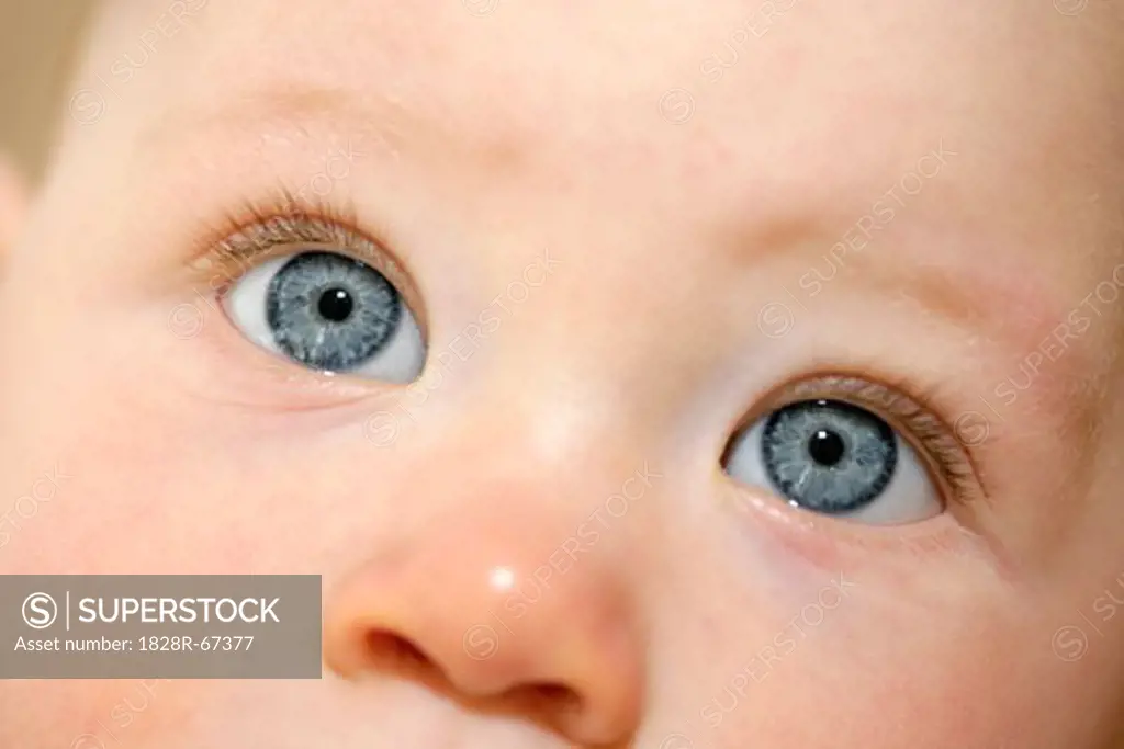 Close-up of Baby's Eyes