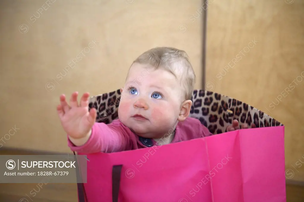 Baby Girl Sitting in a Pink Shopping Bag