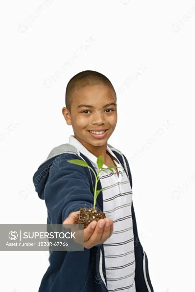 Boy Holding Sapling